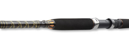 Sea fishing rod Daiwa BG OFFSHORE 20
