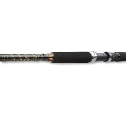 Lansetă pentru pescuit marin - DAIWA BG OFFSHORE BOAT 20 - 2.40 m/150-400 g