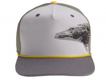 Cap DAIWA D-VEC - WHITE GREY