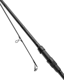 carp rods