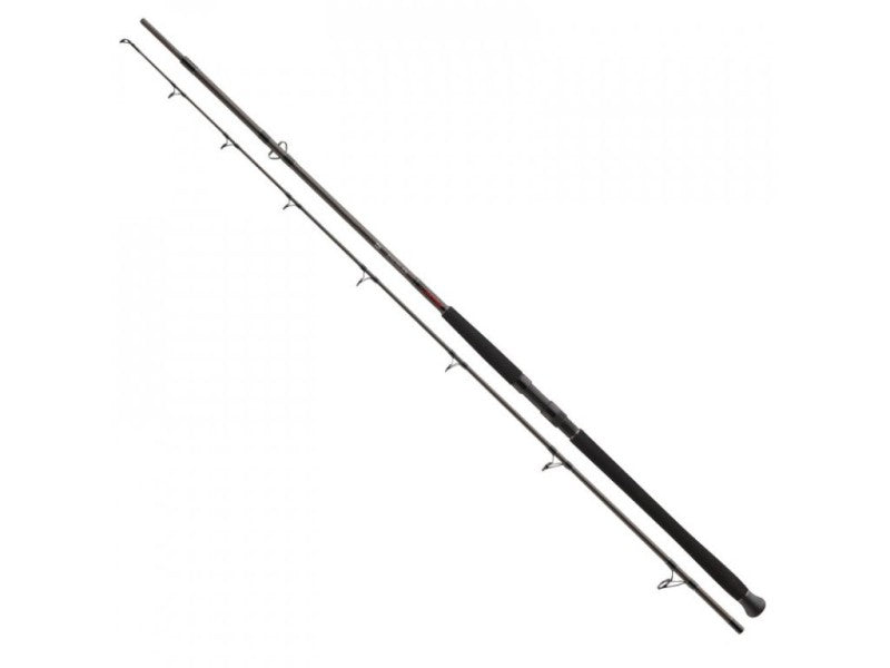 Въдица за риболов на сом DAIWA EXCELER CATFISH BOJE - 3.00m/200-600gr, идеална за риболов с големи тежести.
