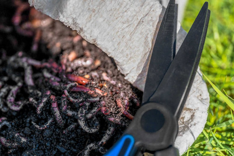 Двойна ножица за стръв PRESTON Worm Scissors