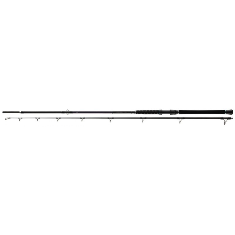 Καλάμι γατόψαρου - Daiwa Powermesh Catfish - 3.00m / 150-500gr