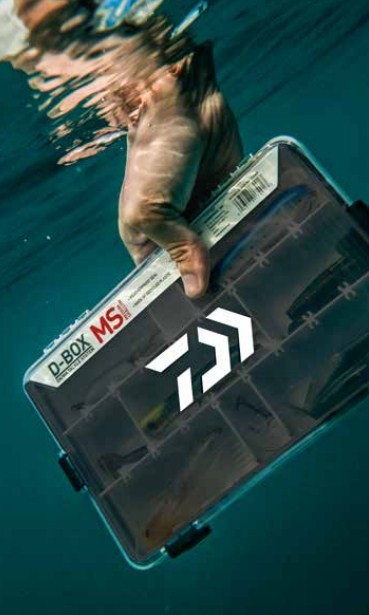 Кутия за риболовни принадлежности DAIWA D-BOX LSU SMOKE JIGHEAD
