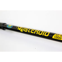 Телескопична въдица Lineaeffe ASTEROID WTG - 3.60m/100g