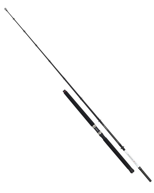 Морска въдица за риболов от лодка DAIWA SEAHUNTER Z BOAT