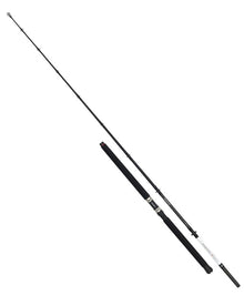 Морска въдица за риболов от лодка DAIWA SEAHUNTER Z BOAT