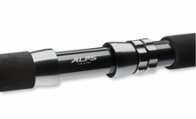 Въдица за морски риболов Daiwa TANACOM 2.10m/400-1000gr