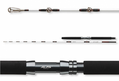 Въдица за морски риболов Daiwa TANACOM 2.10m/400-1000gr