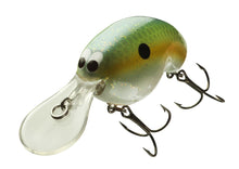 Воблер DAIWA PROREX CHIBI FUKU 1 CRANK 41F  - 4.1cm/6.5gr