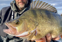 Воблер DAIWA STEEZ SHAD 60SP-DR - 6.0cm/7.0gr