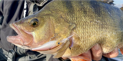 Воблер DAIWA STEEZ SHAD 60SP-DR - 6.0cm/7.0gr