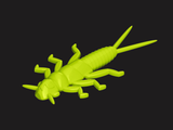 EXTRA LIME