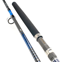 Въдица за морски риболов DAIWA SALTIST POPPER & JIGGING-1