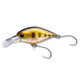 53-04434 - Brown minnow