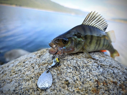 Спинер Westin DropBite Tungsten Spin Tail Jig с уловена риба на камък с езеро на заден план.